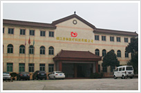   臨安市維蘭助劑有限公司